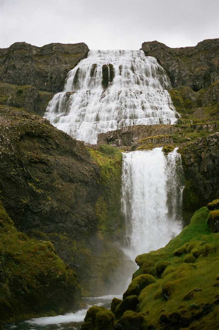 kosher fjord vacation to Iceland.