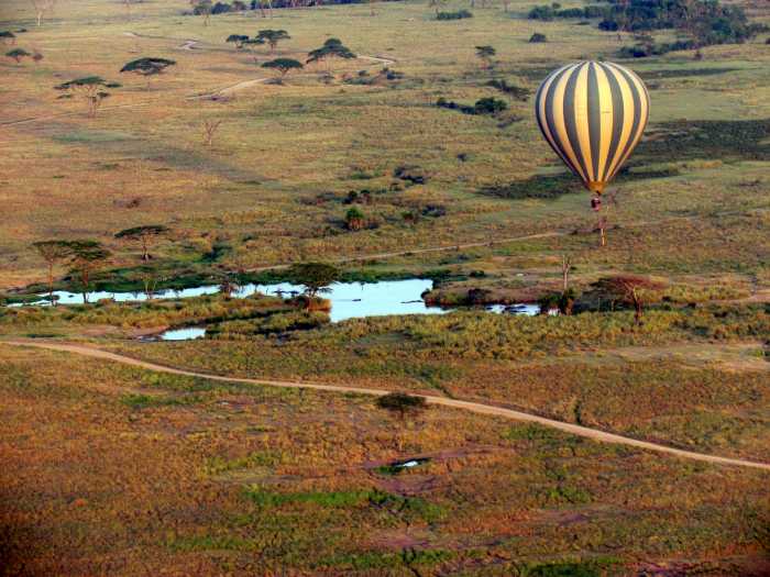 Hot air balloon over Serengeti.