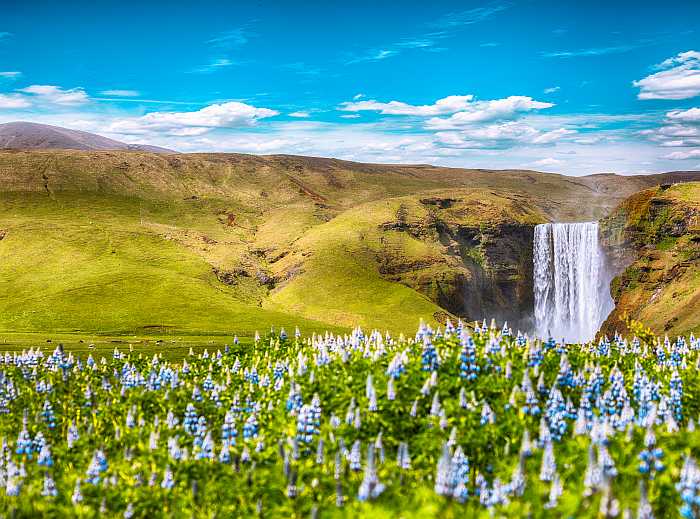 Kosher tours of Iceland.