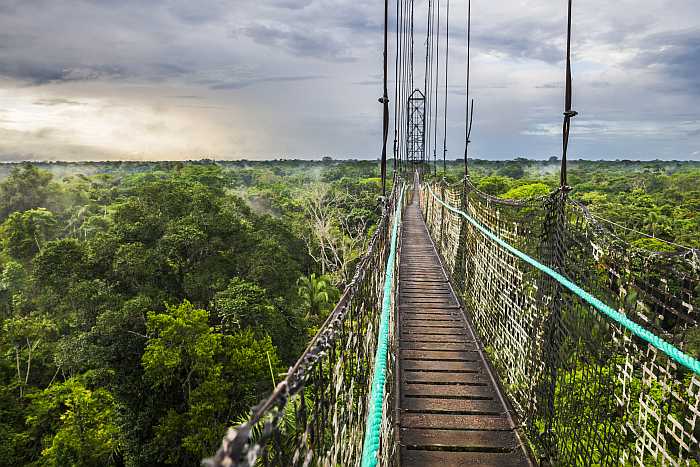 kosher travel trends 2025 - Amazon rainforest.