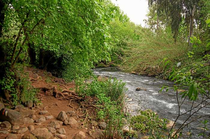 Nahal Snir in northern Israel.