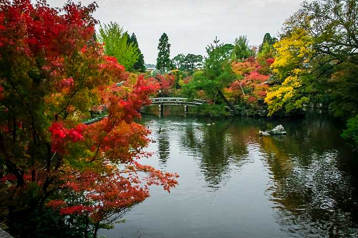 shoulder season travel to Japan.