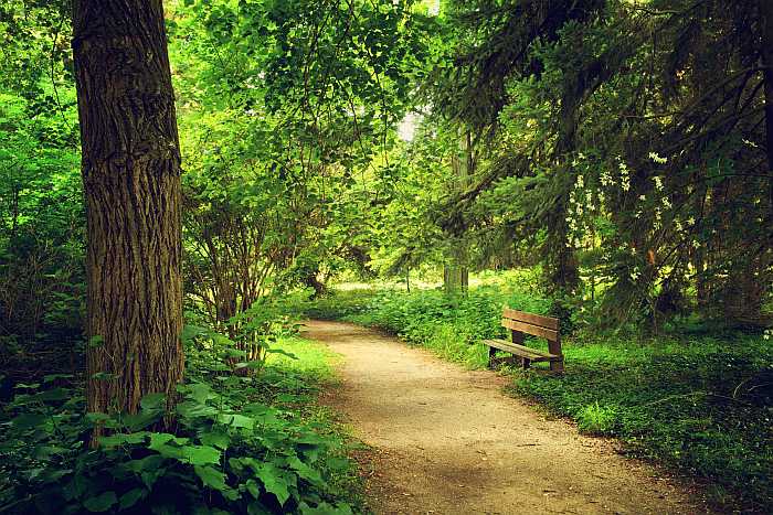 Quiet walk in nature on Pesach vacation.