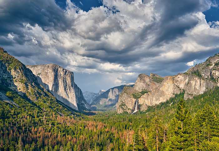 kosher summer bucket list - yosemite national park.