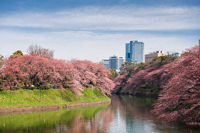 Unique Passover destinations- Japan.